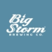 Big Storm Brewing