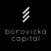 Borovicka Capital
