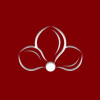 Oncidium