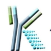 KYinno