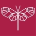 Glasswing Ventures