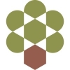 Olive Tree Capital