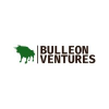 Bulleon Ventures