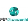 Fip Guanambi