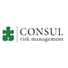 Consul risk management international