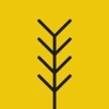 Vision Ventures