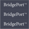 Bridgeport Financial Technology
