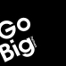 Go Big Partners