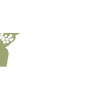 The Lyndhurst Foundation