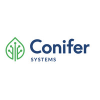 Conifer