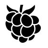 Cloudberry Pioneer Investments