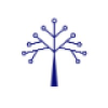 BlueOak Resources