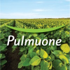 Pulmuone USA