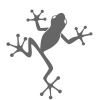 Frog Ventures