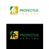 Profectus Capital