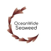 Oceanwide Seaweed