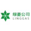 Tianjin Lvling Gas Co