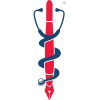 Medical Scribe Systems