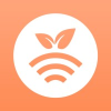 Plantae
