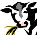 Quality Milk Management Services