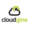 Cloudgine