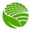 Phoenix Foods