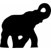 Mastodon Capital Management