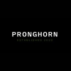 Pronghorn