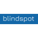 Blindspot