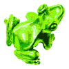 FROG VISION