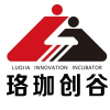 Z Ventures Group
