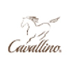 Cavallino Capital