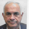 Avi Fogel