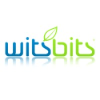 Witsbits