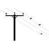 Wire Group