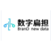 Digital Bicycle (Zhejiang) Technology