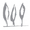 TT Capital Partners