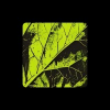 Lemon Technologies