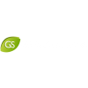 Gs Holdings