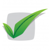 VitalFields