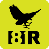 81RAVENS