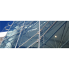 Shumway Capital