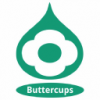 Buttercups