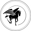 Tulpar Capital