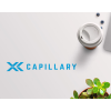 Capillary
