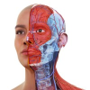3D4Medical.com