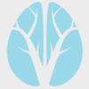 Cerveau Technologies