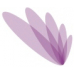 Navam Capital