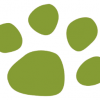 WholesalePet.com