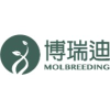 Shijiazhuang Boredy Biotechnology